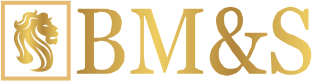 BM&S – Consultoria e Assessoria Empresarial