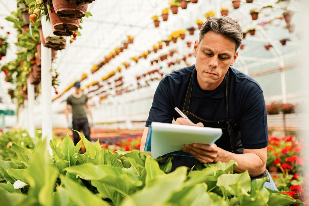Perdas no setor hortifrutigranjeiro: controle contábil